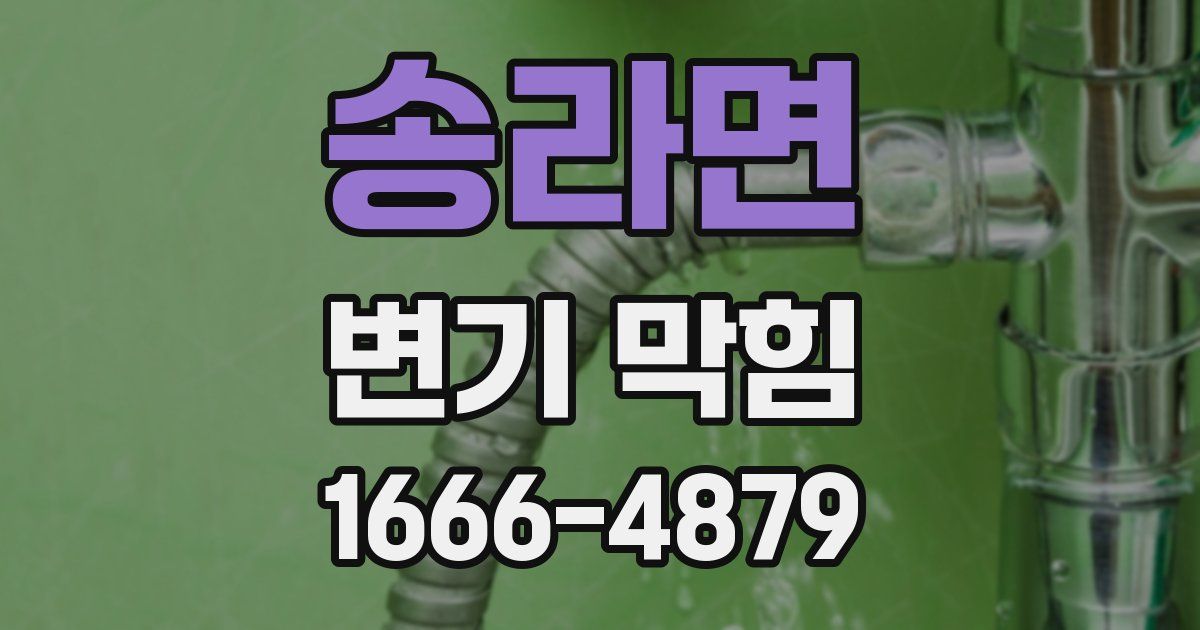 송라면 변기 막힘
