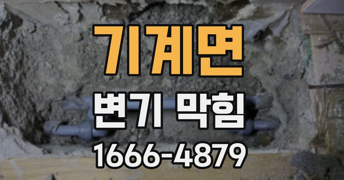 기계면 변기 막힘