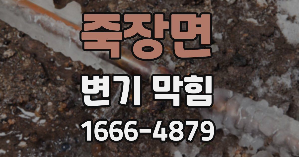 죽장면 변기 막힘