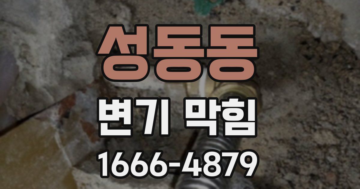 성동동 변기 막힘