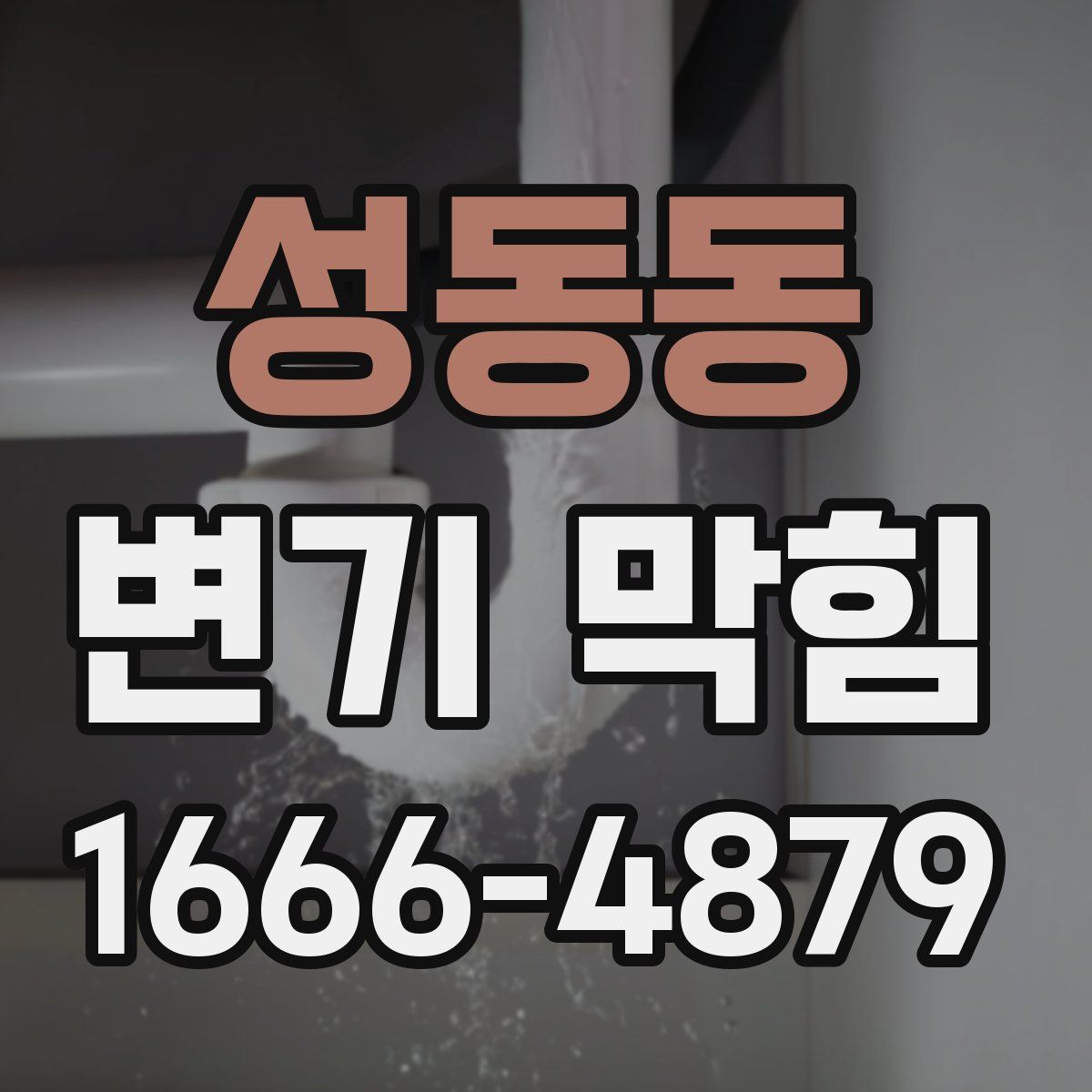 성동동 변기 막힘