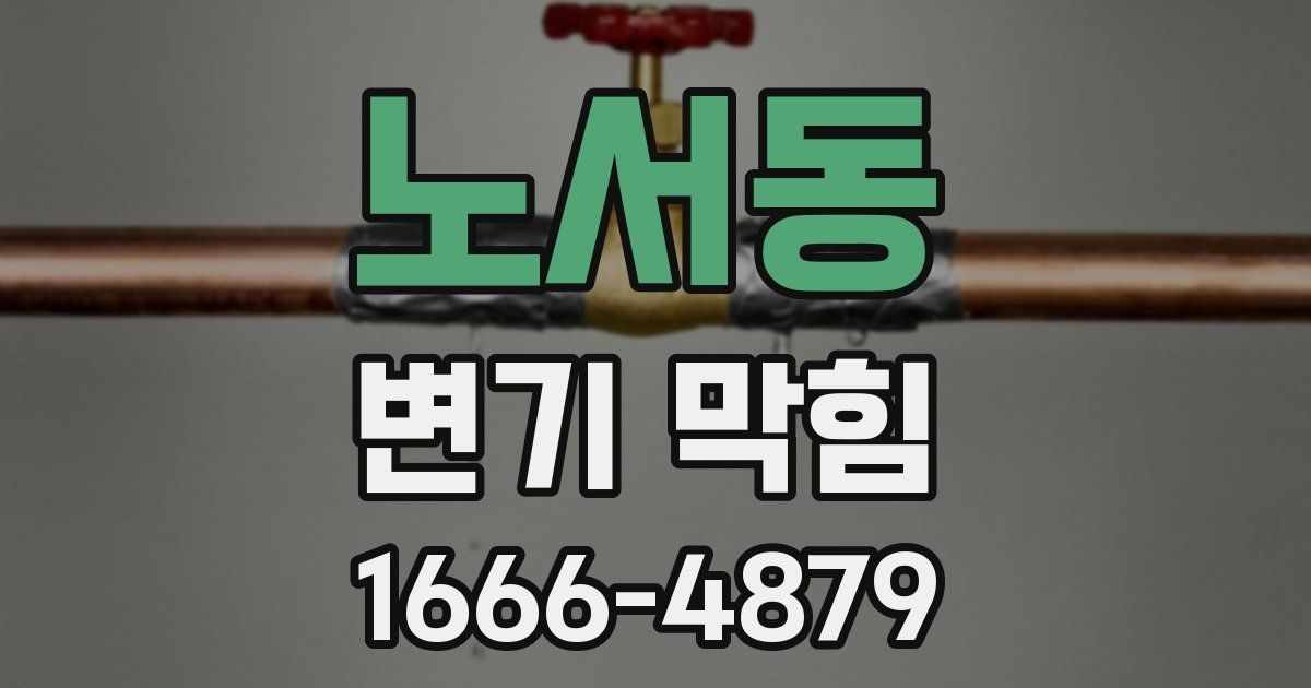 노서동 변기 막힘