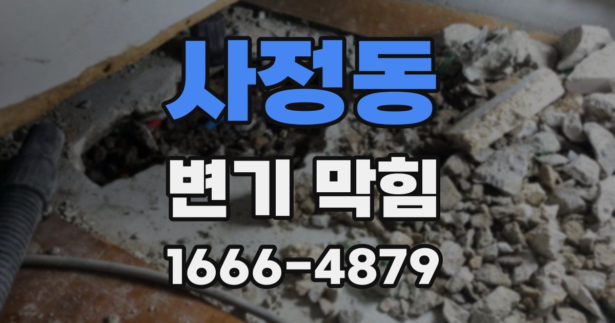 사정동 변기 막힘
