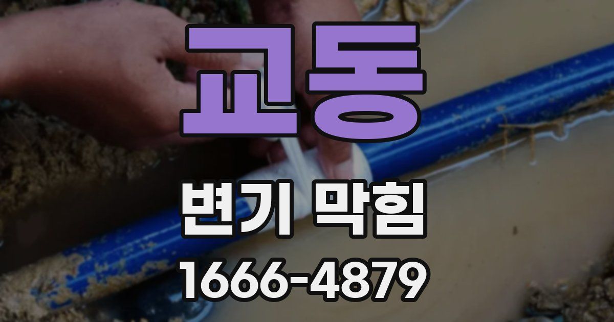 교동 변기 막힘