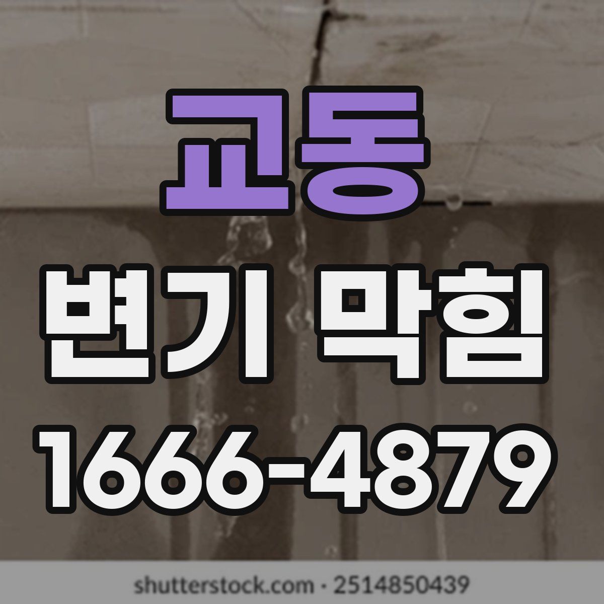 교동 변기 막힘