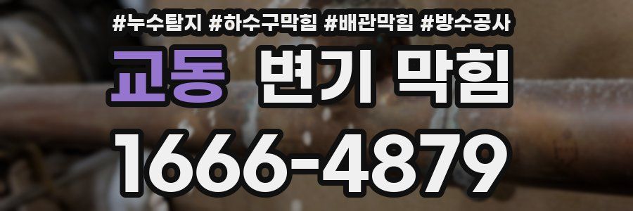 교동 변기 막힘