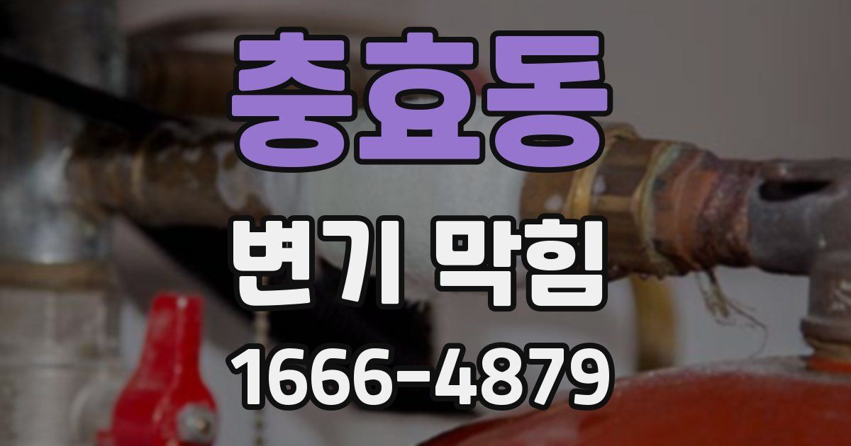 충효동 변기 막힘