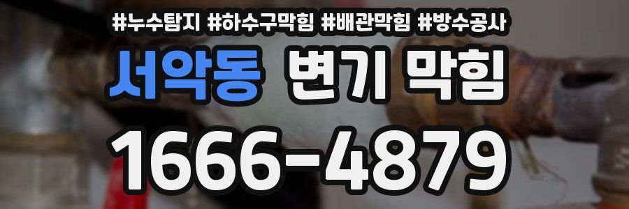 서악동 변기 막힘