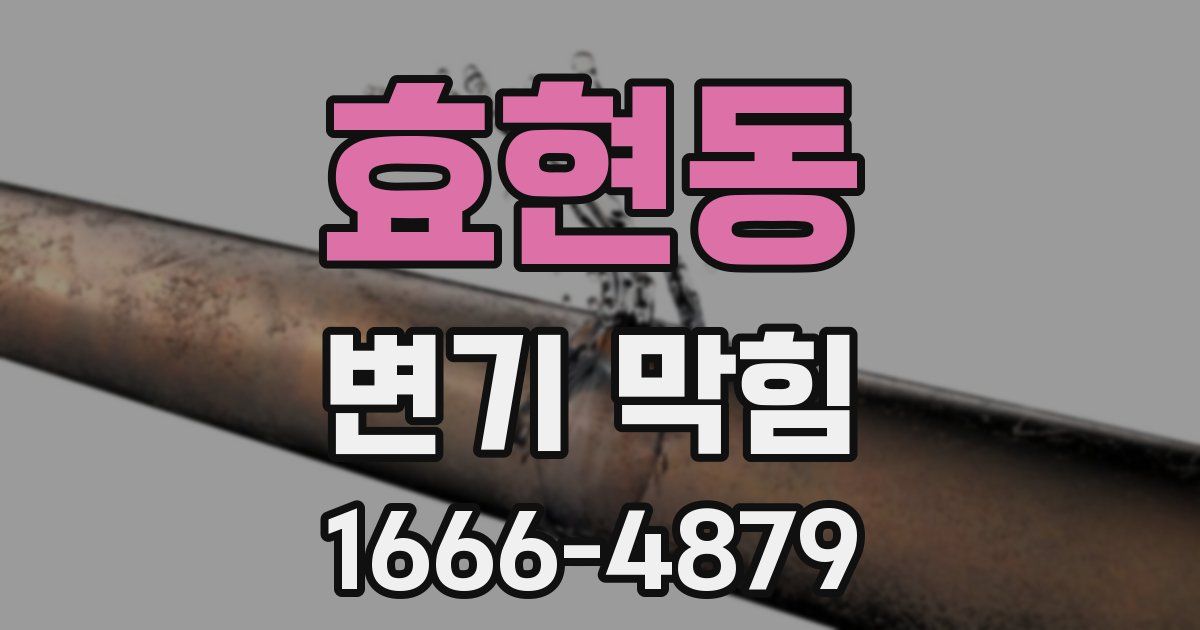 효현동 변기 막힘