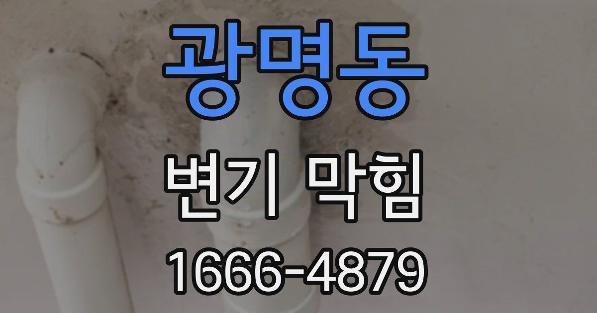 광명동 변기 막힘