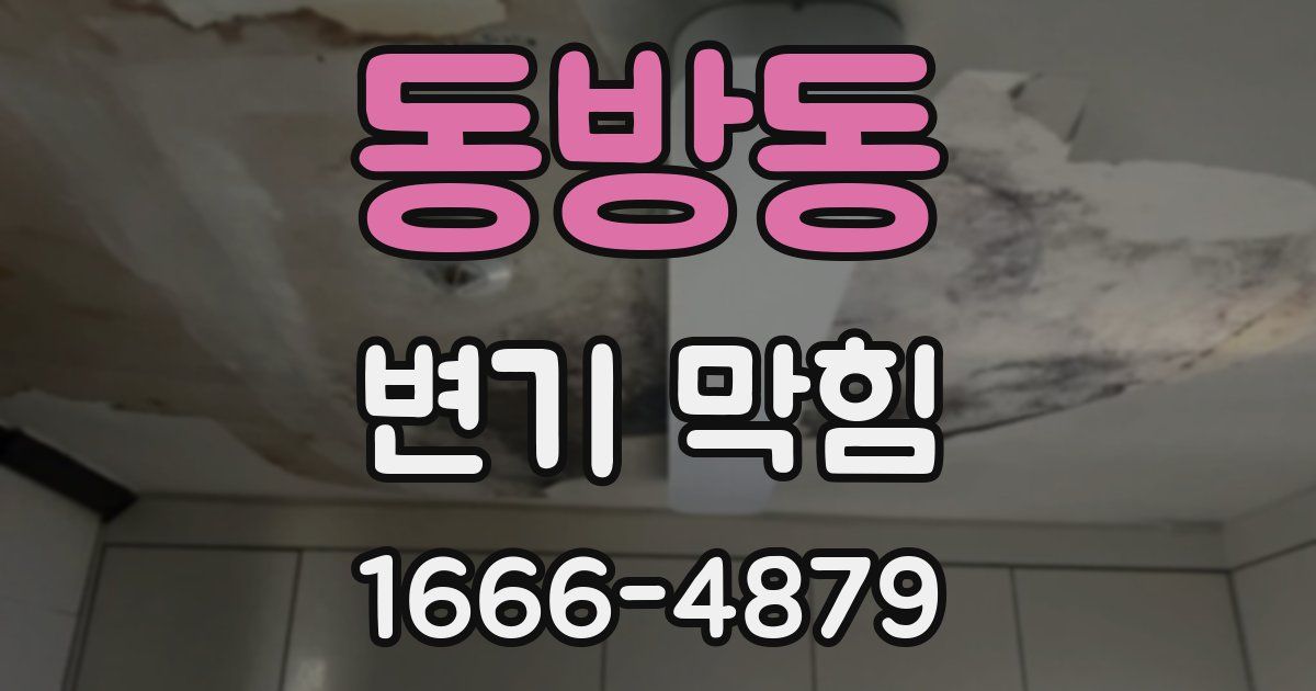 동방동 변기 막힘