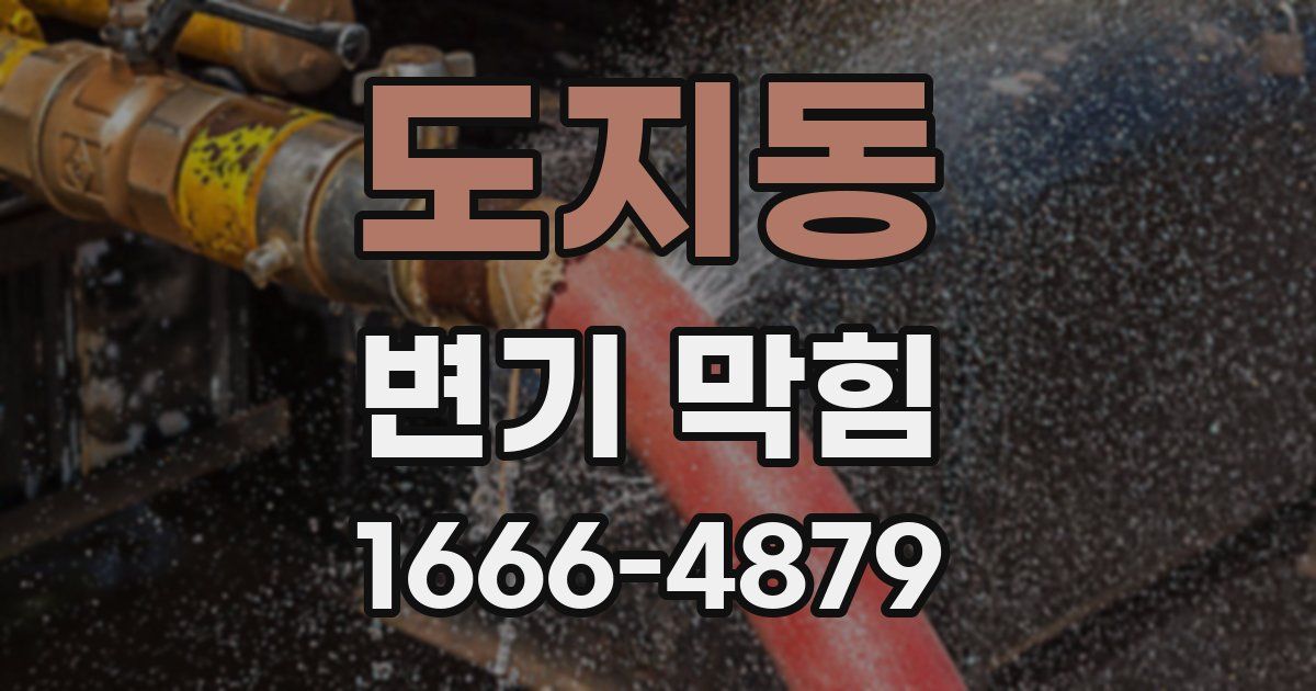 도지동 변기 막힘