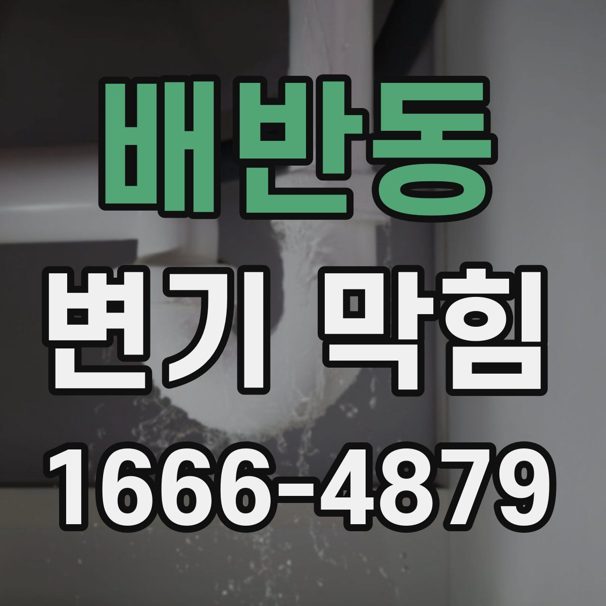 배반동 변기 막힘