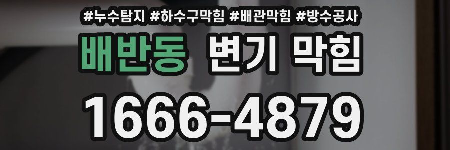배반동 변기 막힘