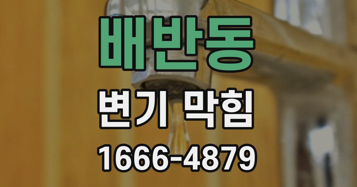 배반동 변기 막힘