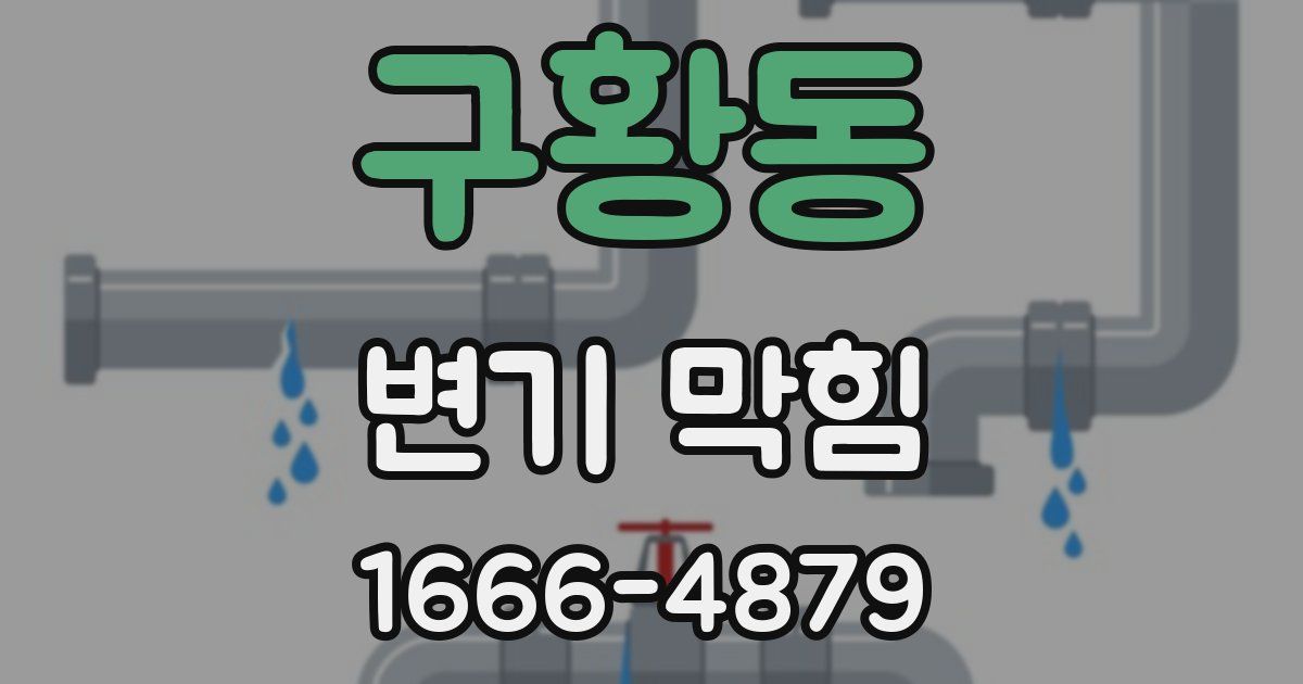구황동 변기 막힘