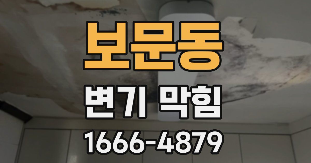 보문동 변기 막힘