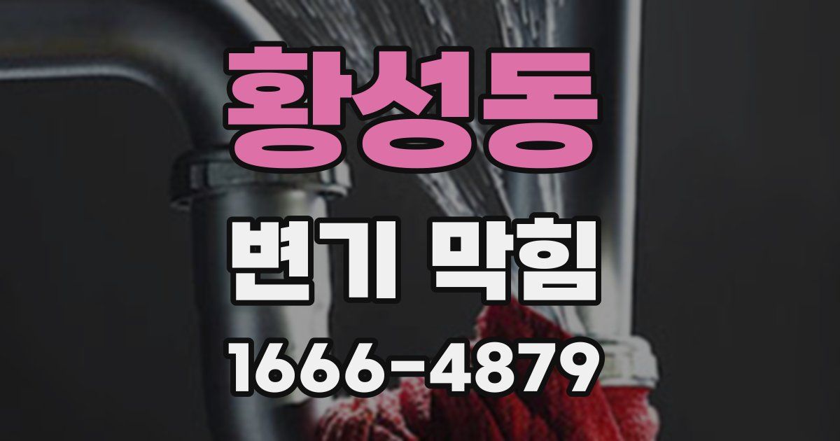 황성동 변기 막힘