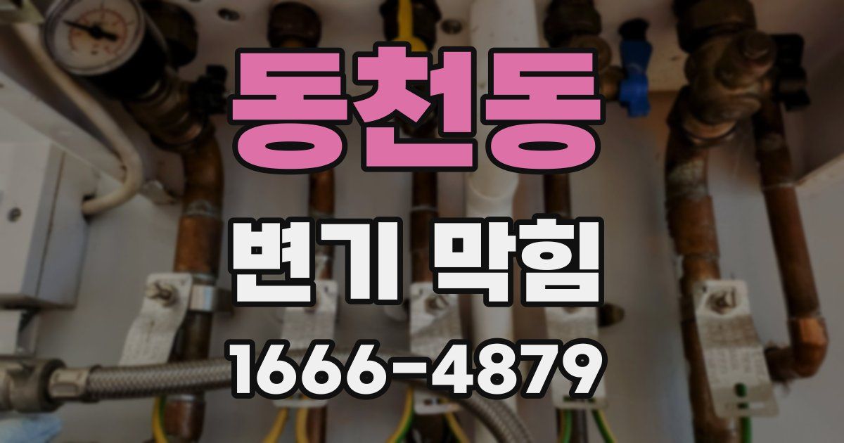 동천동 변기 막힘