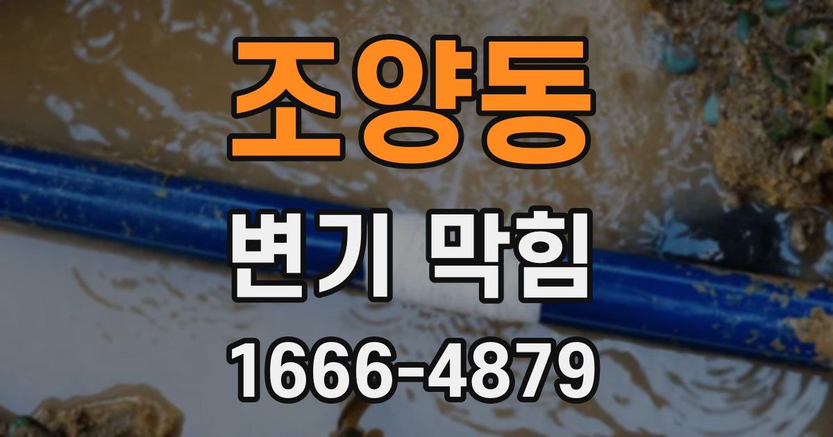 조양동 변기 막힘