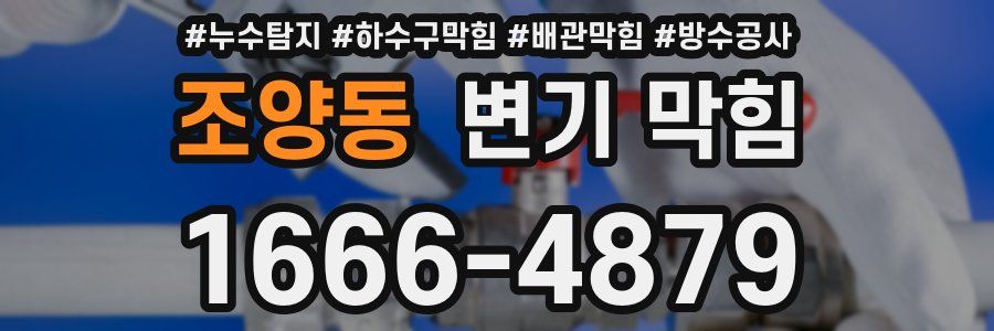 조양동 변기 막힘