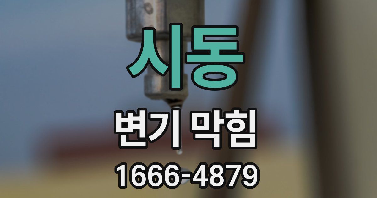 시동 변기 막힘
