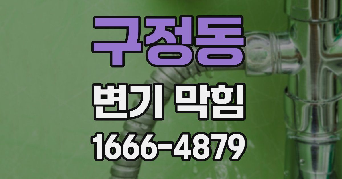 구정동 변기 막힘