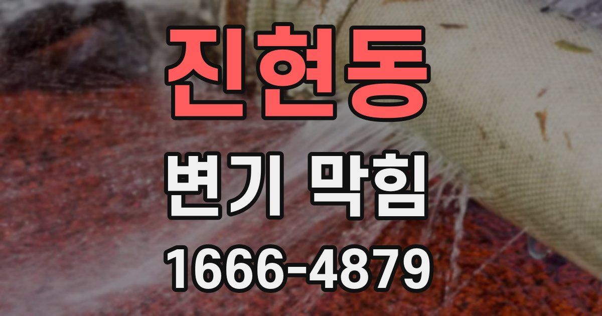 진현동 변기 막힘