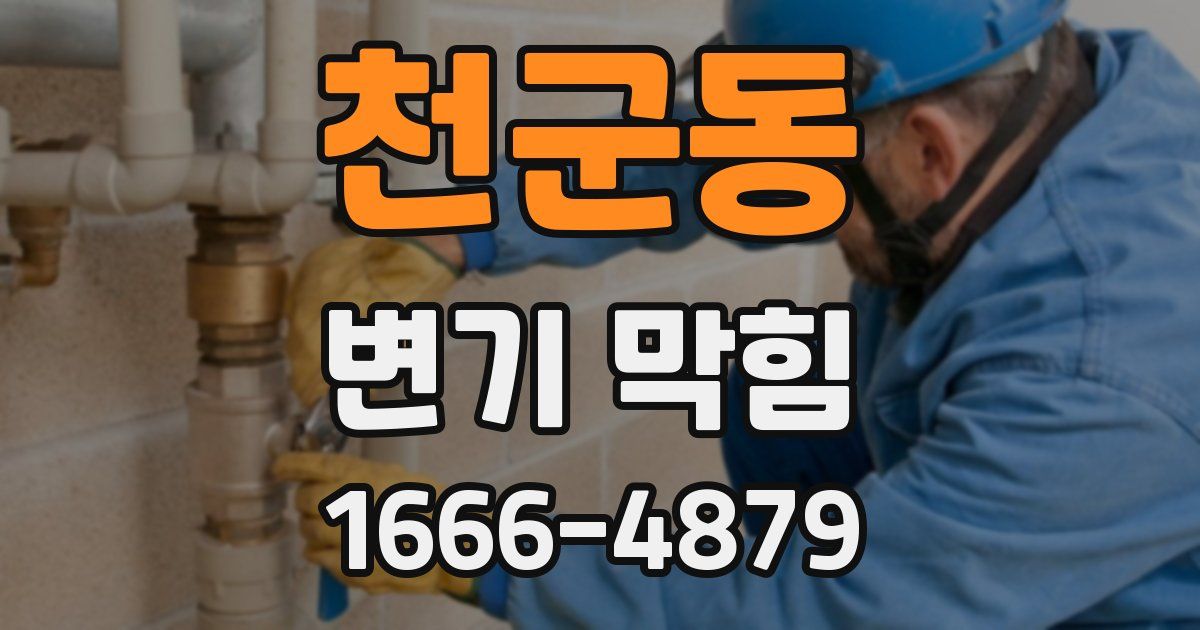 천군동 변기 막힘