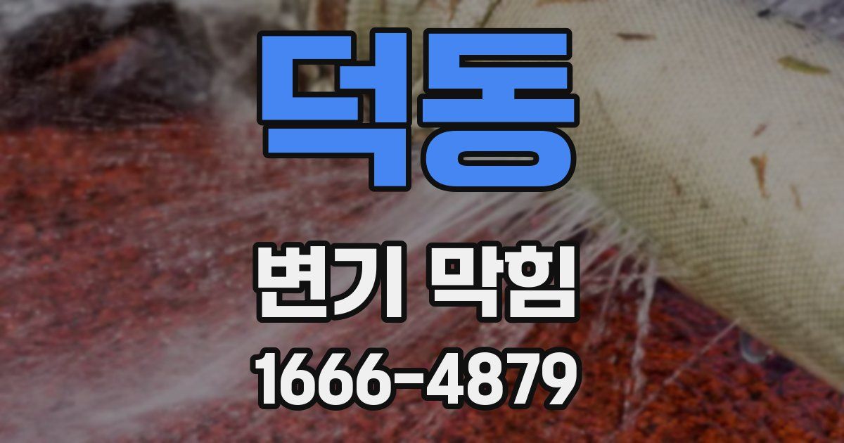 덕동 변기 막힘