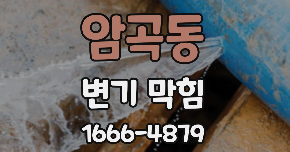 암곡동 변기 막힘