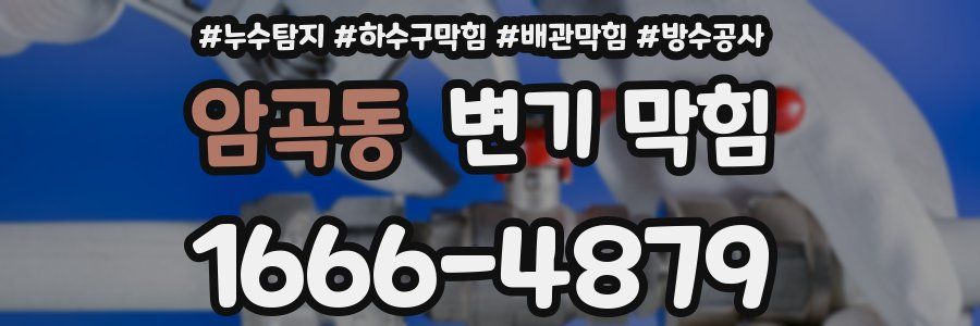암곡동 변기 막힘