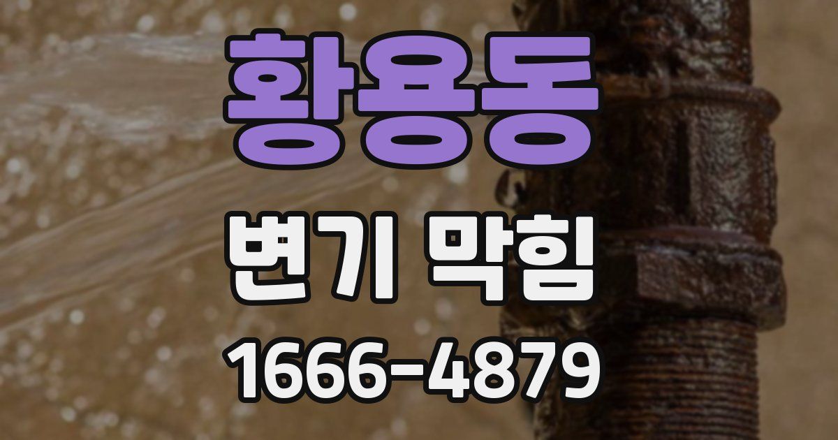 황용동 변기 막힘