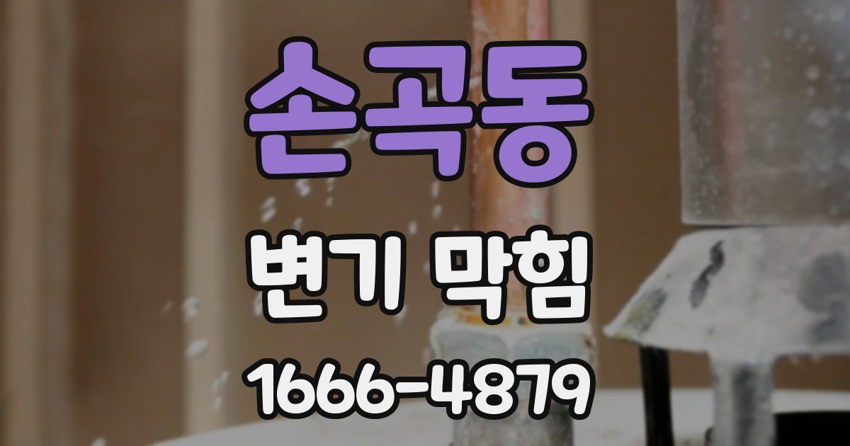 손곡동 변기 막힘