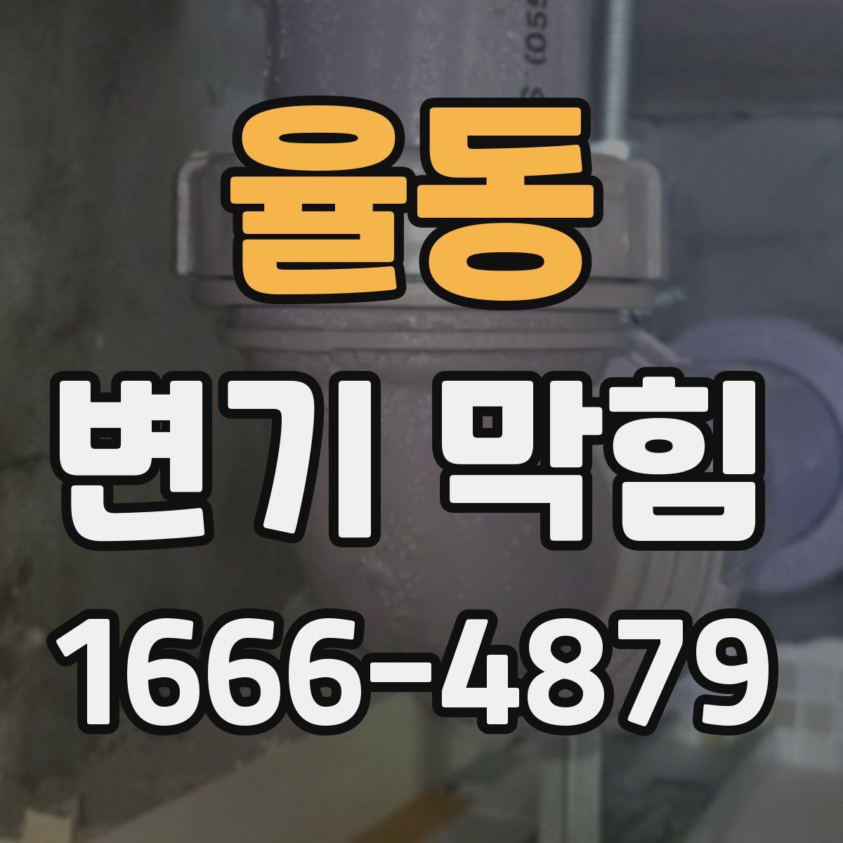 율동 변기 막힘
