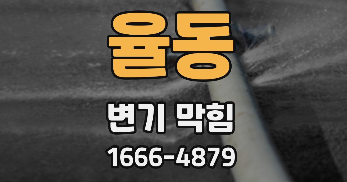 율동 변기 막힘