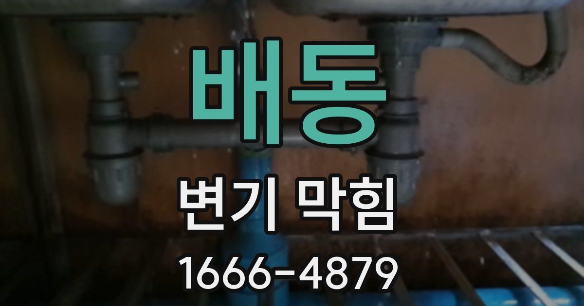 배동 변기 막힘
