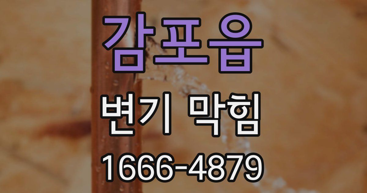 감포읍 변기 막힘