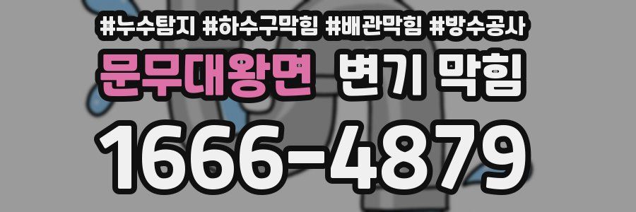 문무대왕면 변기 막힘