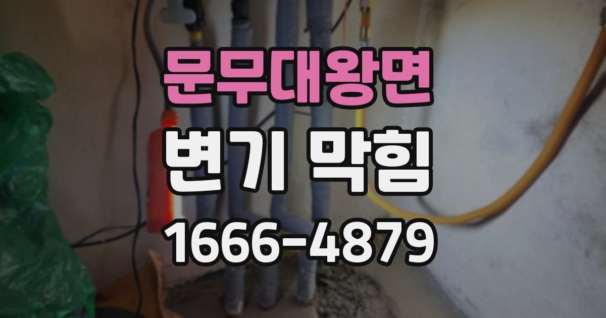 문무대왕면 변기 막힘