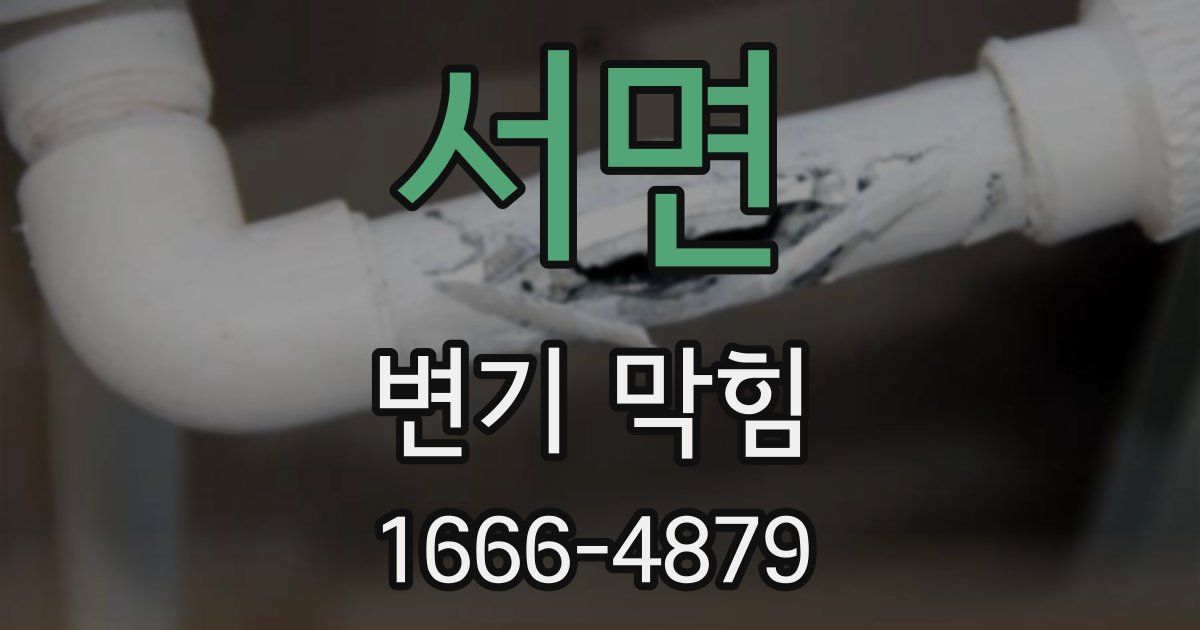 서면 변기 막힘