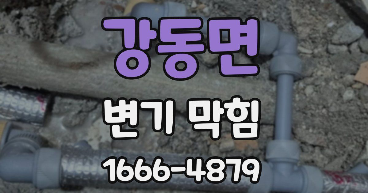 강동면 변기 막힘