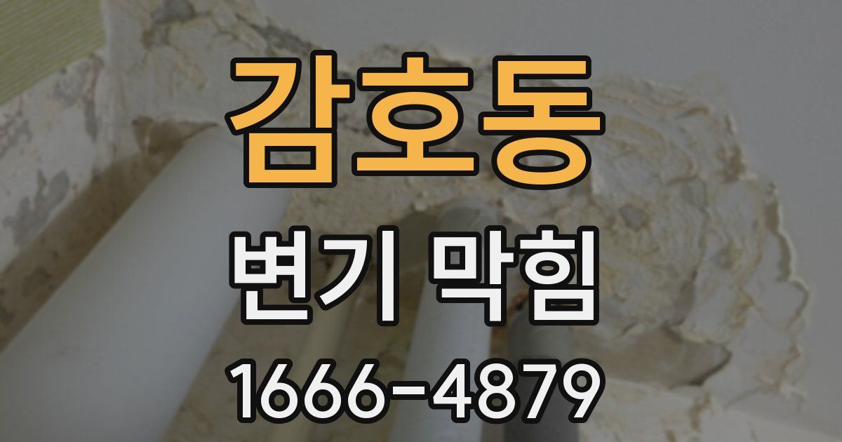 감호동 변기 막힘