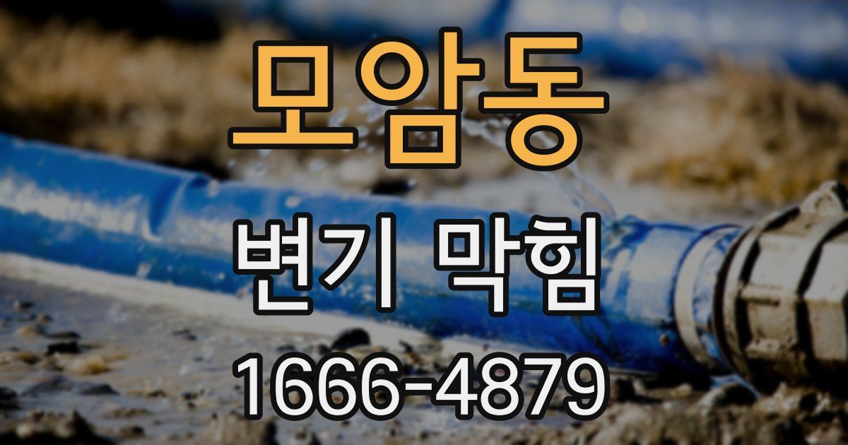 모암동 변기 막힘