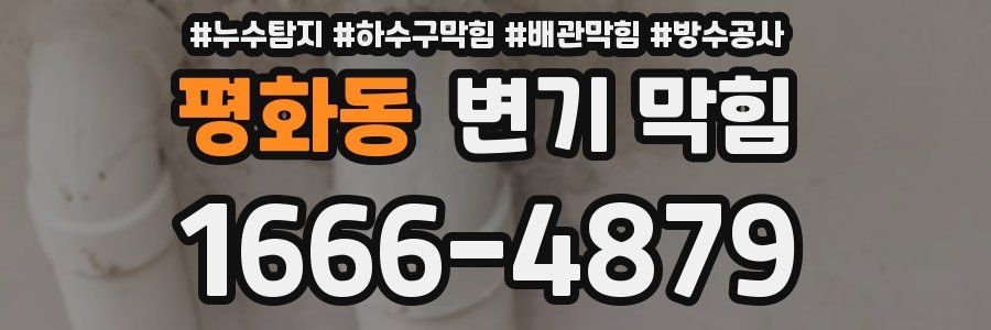 평화동 변기 막힘