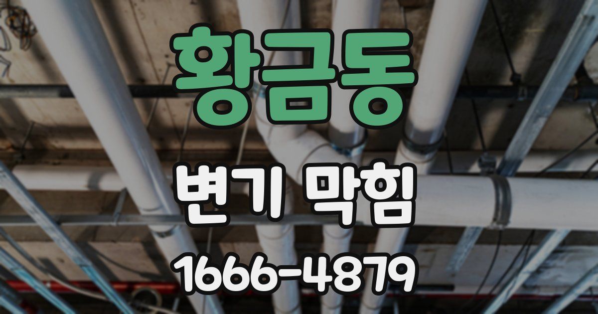 황금동 변기 막힘