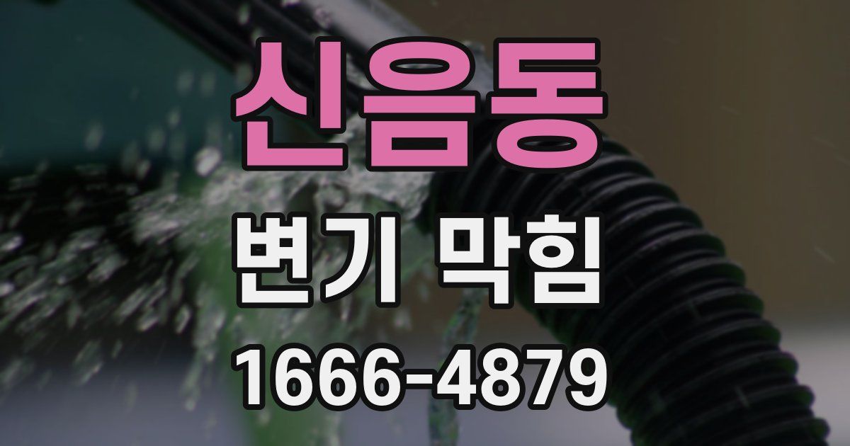 신음동 변기 막힘