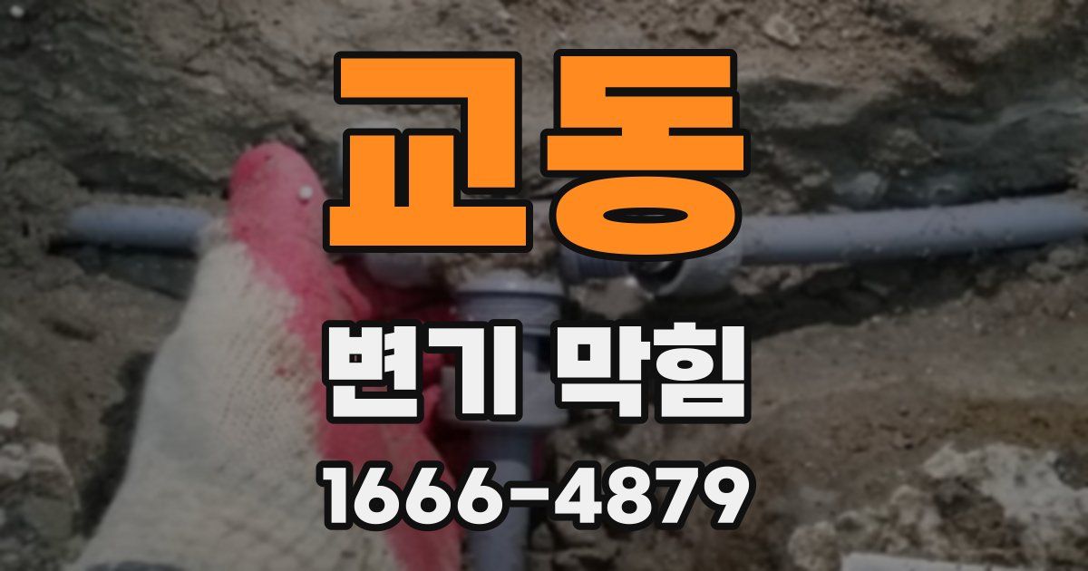 교동 변기 막힘