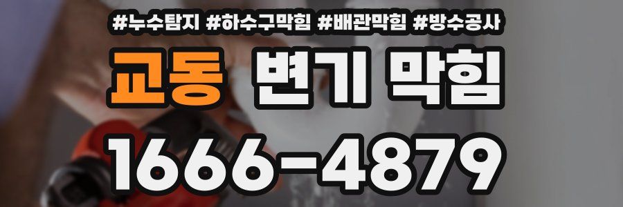 교동 변기 막힘
