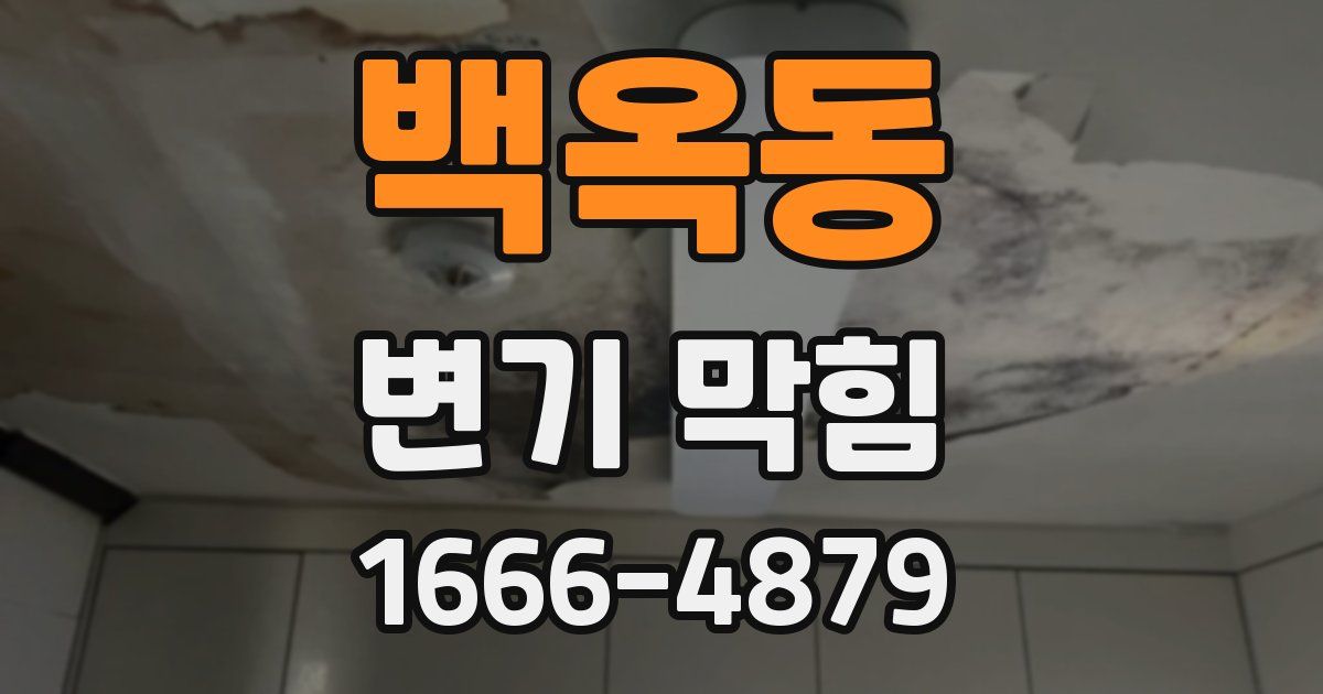 백옥동 변기 막힘